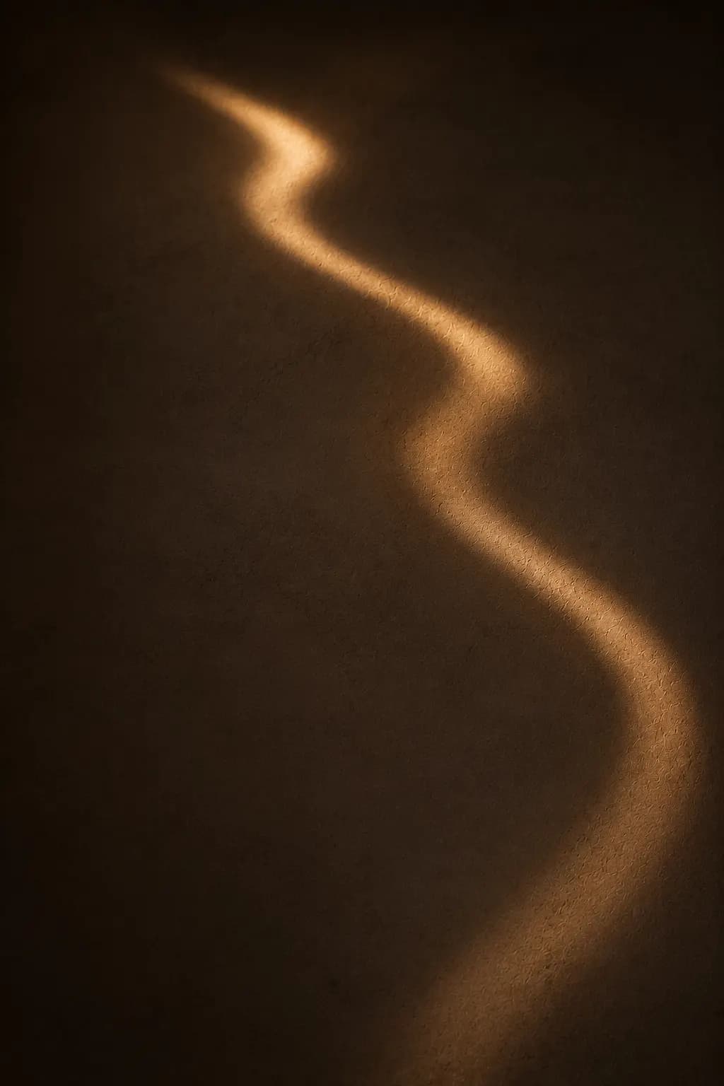 L’approche Sōma